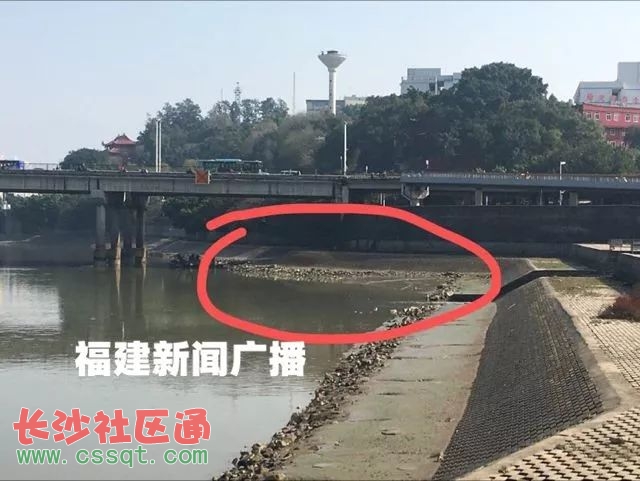 福州三县洲大桥桥底惊现女尸!警方回应排除他
